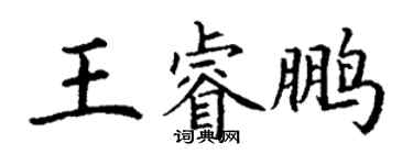 丁谦王睿鹏楷书个性签名怎么写