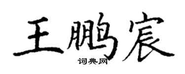 丁谦王鹏宸楷书个性签名怎么写
