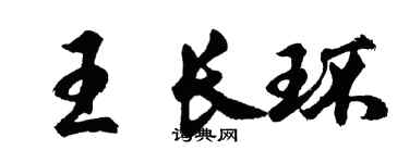 胡问遂王长环行书个性签名怎么写