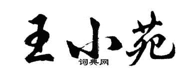 胡问遂王小苑行书个性签名怎么写