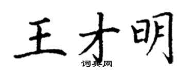 丁谦王才明楷书个性签名怎么写