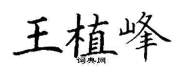 丁谦王植峰楷书个性签名怎么写