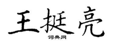 丁谦王挺亮楷书个性签名怎么写