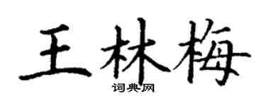 丁谦王林梅楷书个性签名怎么写
