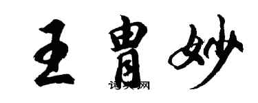 胡问遂王胄妙行书个性签名怎么写