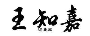 胡问遂王知嘉行书个性签名怎么写