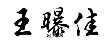胡问遂王曝佳行书个性签名怎么写