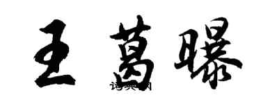 胡问遂王葛曝行书个性签名怎么写