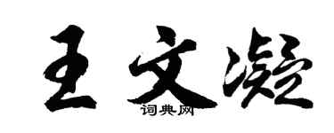 胡问遂王文凝行书个性签名怎么写