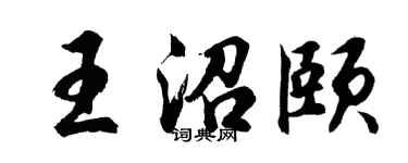 胡问遂王沼颐行书个性签名怎么写