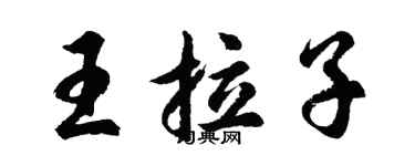 胡问遂王拉子行书个性签名怎么写