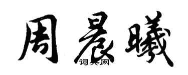 胡问遂周晨曦行书个性签名怎么写