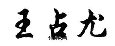 胡问遂王占尤行书个性签名怎么写
