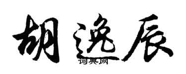 胡问遂胡逸辰行书个性签名怎么写