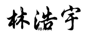 胡问遂林浩宇行书个性签名怎么写