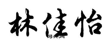 胡问遂林佳怡行书个性签名怎么写