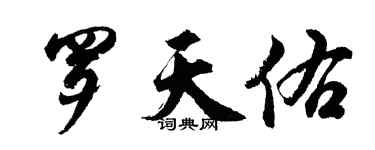 胡问遂罗天佑行书个性签名怎么写