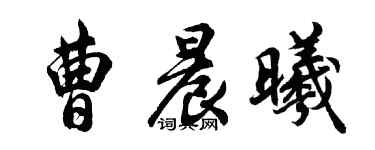 胡问遂曹晨曦行书个性签名怎么写