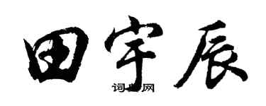 胡问遂田宇辰行书个性签名怎么写