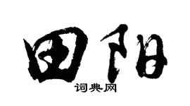 胡问遂田阳行书个性签名怎么写