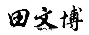 胡问遂田文博行书个性签名怎么写