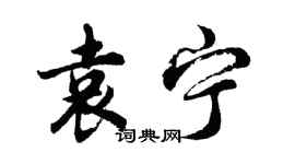 胡问遂袁宁行书个性签名怎么写
