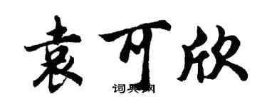 胡问遂袁可欣行书个性签名怎么写