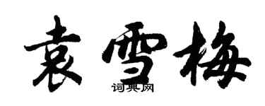 胡问遂袁雪梅行书个性签名怎么写