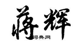 胡问遂蒋辉行书个性签名怎么写