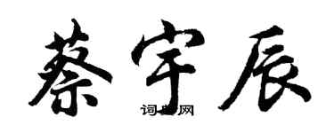 胡问遂蔡宇辰行书个性签名怎么写