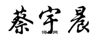 胡问遂蔡宇晨行书个性签名怎么写