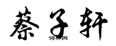 胡问遂蔡子轩行书个性签名怎么写