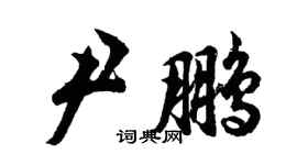 胡问遂尹鹏行书个性签名怎么写