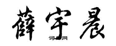 胡问遂薛宇晨行书个性签名怎么写