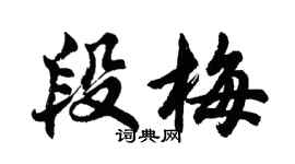 胡问遂段梅行书个性签名怎么写
