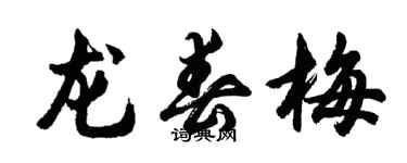 胡问遂龙春梅行书个性签名怎么写