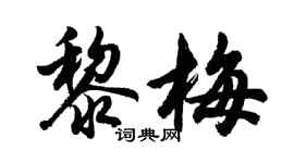 胡问遂黎梅行书个性签名怎么写