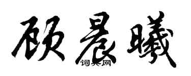 胡问遂顾晨曦行书个性签名怎么写