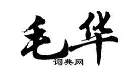 胡问遂毛华行书个性签名怎么写