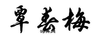 胡问遂覃春梅行书个性签名怎么写