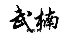 胡问遂武楠行书个性签名怎么写