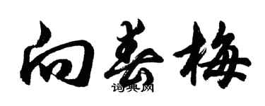 胡问遂向春梅行书个性签名怎么写