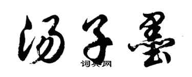 胡问遂汤子墨行书个性签名怎么写