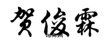 胡问遂贺俊霖行书个性签名怎么写