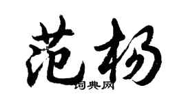 胡问遂范杨行书个性签名怎么写