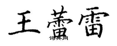 丁谦王蕾雷楷书个性签名怎么写