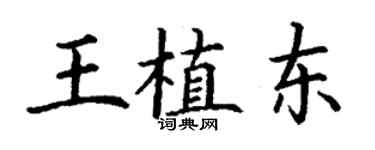 丁谦王植东楷书个性签名怎么写