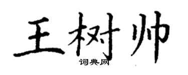 丁谦王树帅楷书个性签名怎么写