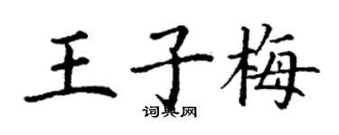 丁谦王子梅楷书个性签名怎么写