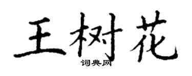 丁谦王树花楷书个性签名怎么写